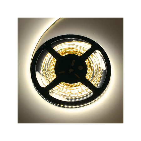 Design Light Taśma PREMIUM 120 LED/m typ 2835 IP20 18W/m, kolor: biały zimny