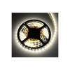 Design Light Taśma PREMIUM 60 LED/m typ 2835 IP20 11W/m, barwa: biały neutralny