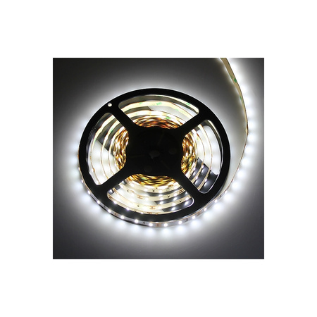 Design Light Taśma PREMIUM 60 LED/m typ 2835 IP20 11W/m, barwa: biały zimny