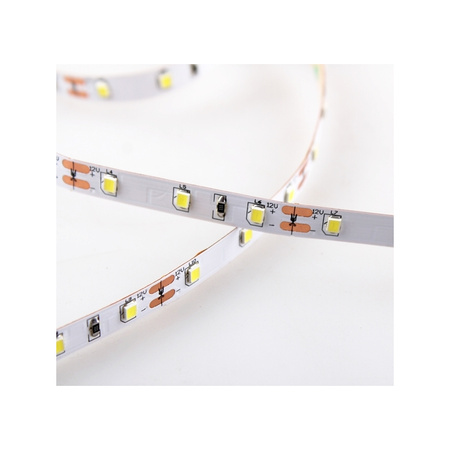 Design Light Taśma PREMIUM 60 LED/m typ 2835 IP20 11W/m, barwa: biały zimny