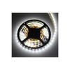 Design Light Taśma PREMIUM 60 LED/m typ 2835 IP20 11W/m, barwa: biały zimny