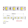 Design Light Taśma PREMIUM 60 LED/m typ 5630 IP20 14W/m